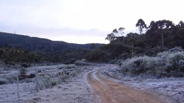 Neve na região sul do Brasil 