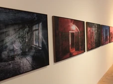 Imagem - Museu de Arte da Bahia inaugura mostra sobre desastres ambientais e celebra médico que uniu arte e cuidado