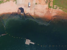 Imagem - Após ataques de piranhas, prefeitura de cidade baiana anuncia medidas de proteção
