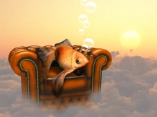 Imagem - O que significa sonhar com peixes? Descubra