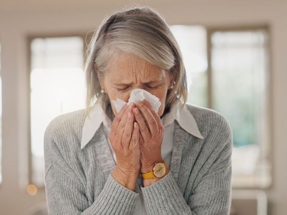 Imagem - Entenda por que os vírus respiratórios são perigosos para idosos