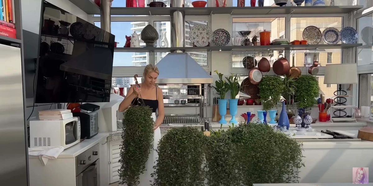 Casa de Ana Hickmann e Edu Guedes por Reprodução/YouTube
