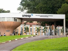 Imagem - Universitários são internados por coma alcóolico após trote em São Paulo