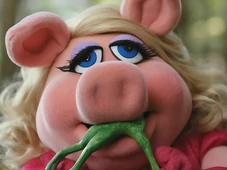 Imagem - Não foi só a mulher chamada de “Miss Piggy” que abusou do menino naquele avião