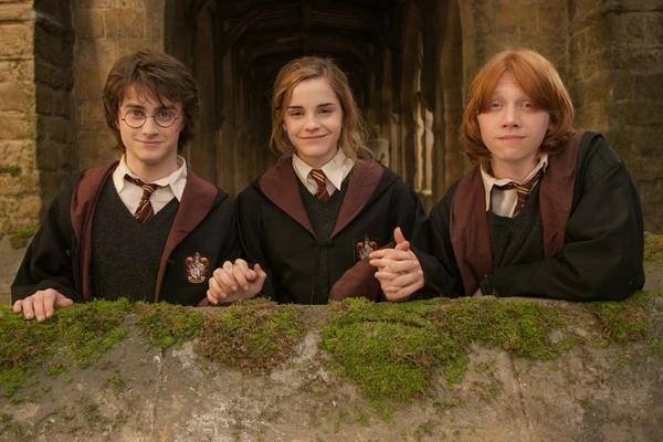 Harry Potter, Rony Weasley e Hermione   por Reprodução