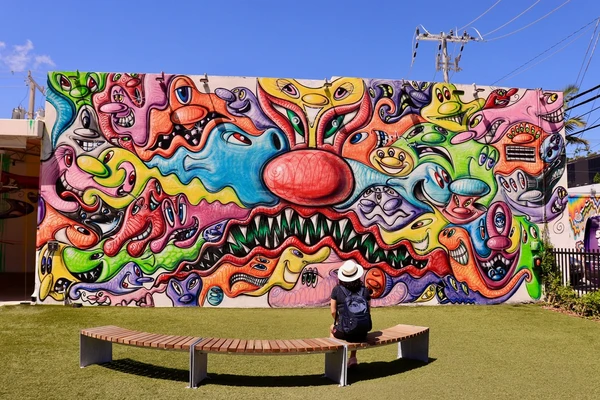 Wynwood Art District, em Miami por Erika Cristina Manno/Shutterstock.com