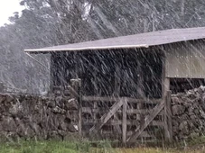 Imagem - Quase 40 cidades brasileiras registram temperaturas abaixo de 5 graus; saiba quais
