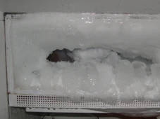 Imagem - Aprenda um método caseiro para remover gelo do congelador em minutos