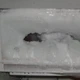 Imagem - Aprenda um método caseiro para remover gelo do congelador em minutos