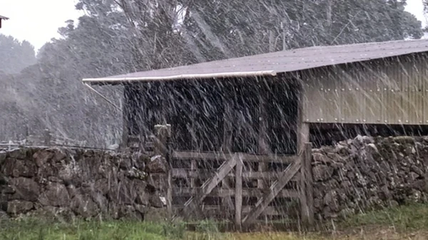 Neve em São José dos Ausentes nesta manhã de quinta-feira (29) por Alexandre Pereira/Metsul