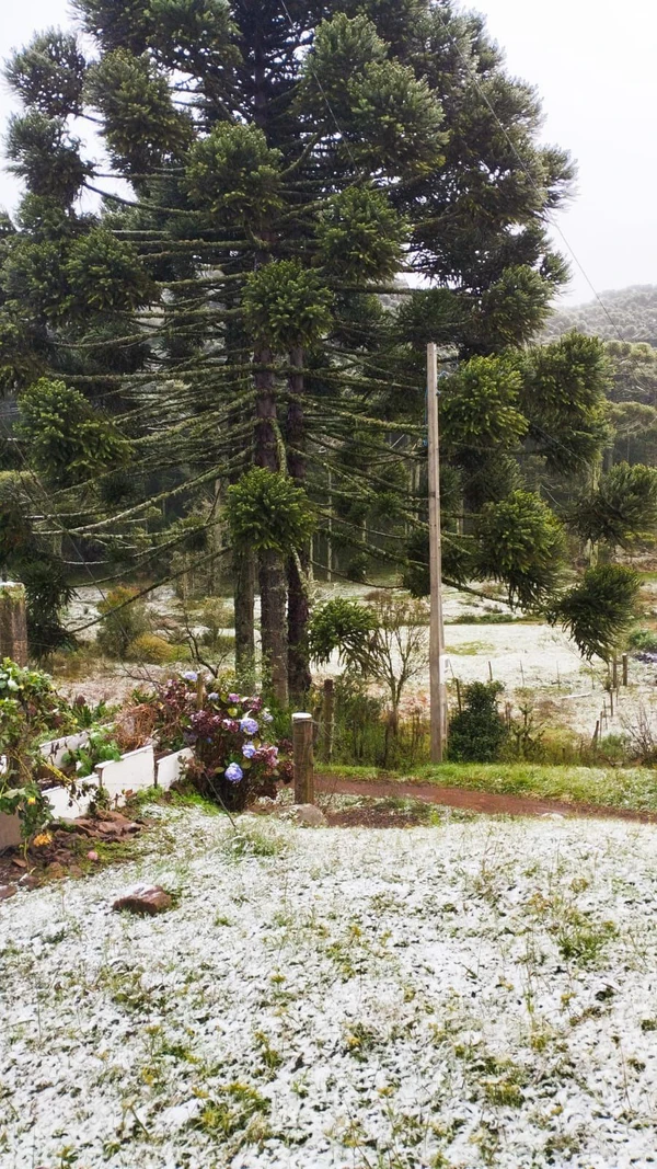Neve em São José dos Ausentes (RS) por Nilson Wolff