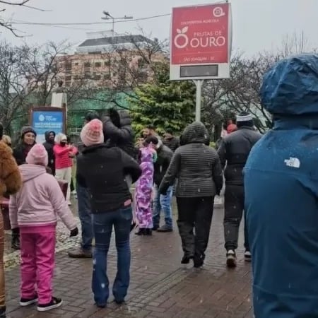 Neve no Brasil por Prefeitura de São Joaquim/Reprodução de vídeo