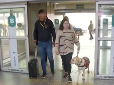 Imagem - Após ser barrado em voo, cão de menina autista embarca para Portugal