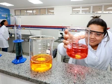 Imagem - SEC abre mais de 18 mil vagas para cursos técnicos gratuitos na Bahia