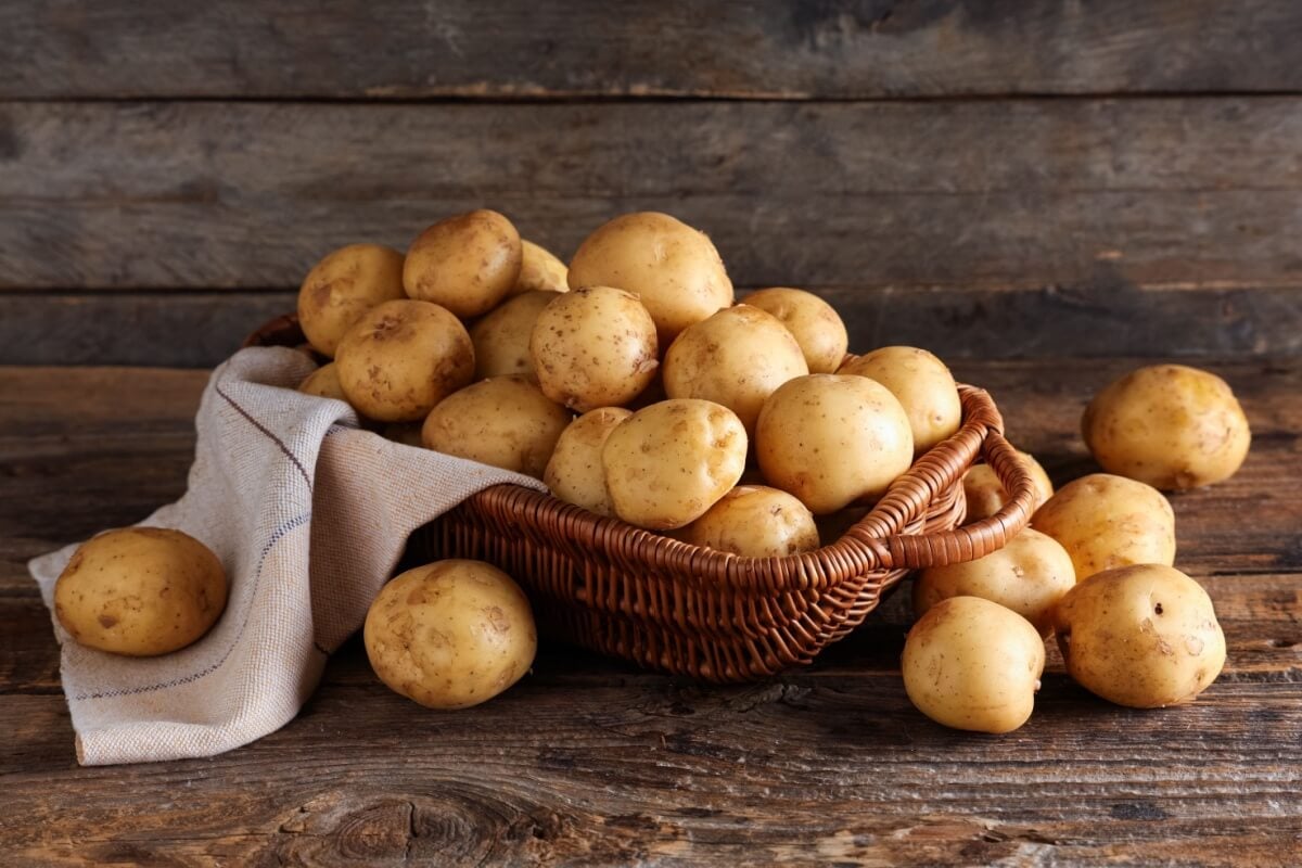 A batata é um tubérculo versátil e nutritivo que pode apoiar a saúde e o bem-estar do corpo (Imagem: Pixel-Shot | Shutterstock) 