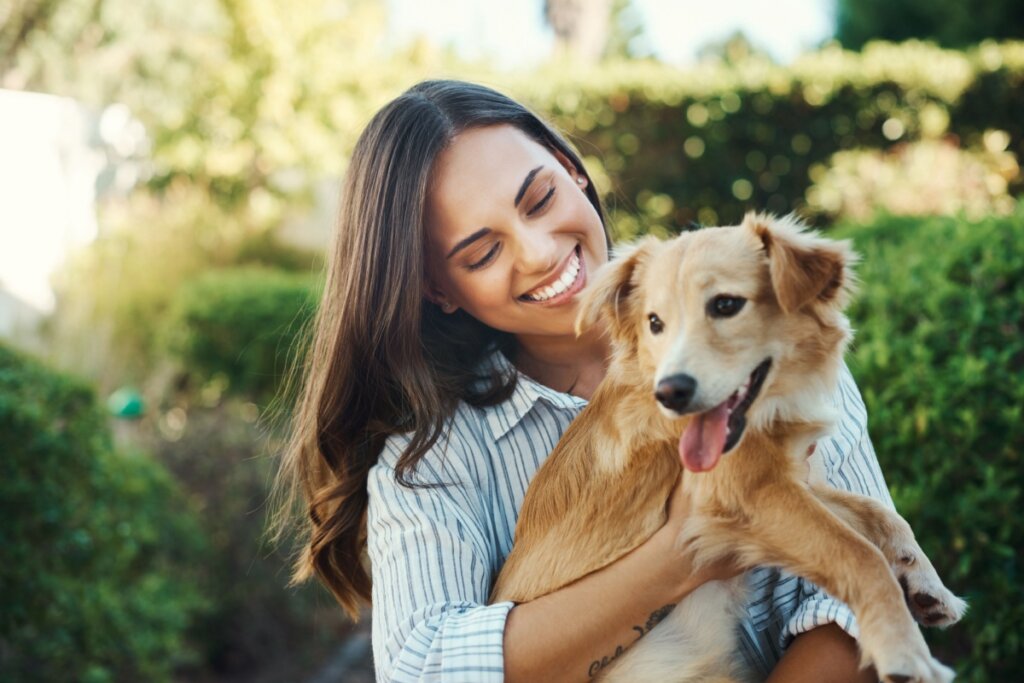 A rotina ajuda a evitar que os animais fiquem entediados ou ansiosos (Imagem: PeopleImages.com – Yuri A | Shutterstock)