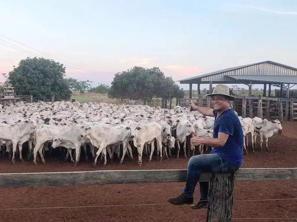 Fazenda Talismã    por Reprodução/Redes Sociais   