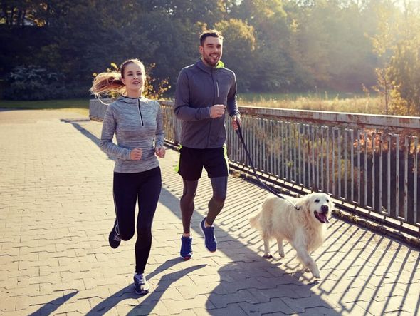 Imagem - 7 atividades físicas para praticar com o cachorro 