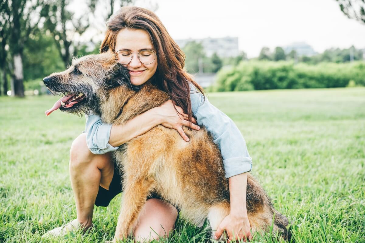 Para garantir a segurança e o bem-estar de todos, algumas atitudes durante o resgate dos animais são essenciais (Imagem: Mariia Korneeva | Shutterstock)