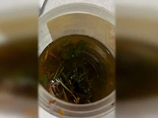 Imagem - Bebê de 1 ano é hospitalizado após ingerir mistura de maconha e álcool