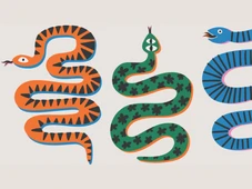 Imagem - O que significa sonhar com cobra? Descubra