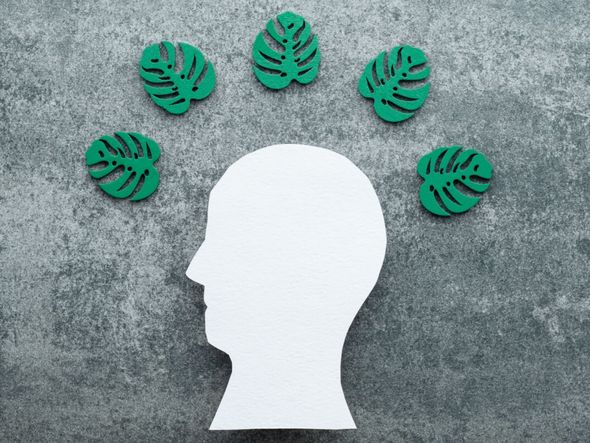 Imagem - Entenda sentimento ligado à degradação do meio ambiente