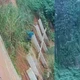 Imagem - Ação da PM acaba com dois mortos no Jardim Cajazeiras; veja vídeo