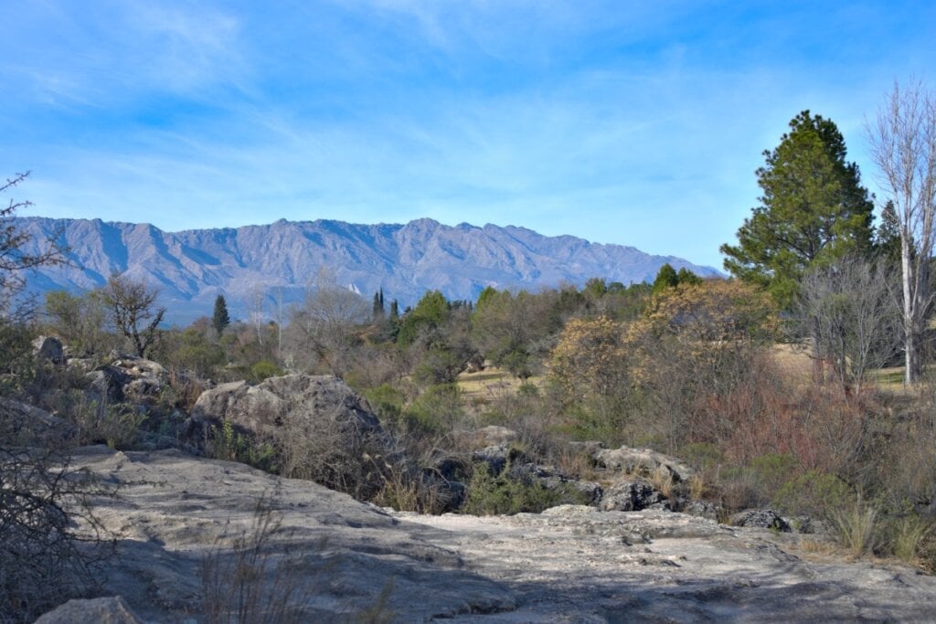 Cruz del Eje tem plantações de oliveiras e fábricas que oferecem visitas guiadas e degustações (Imagem: Ramon Moser | Shutterstock)