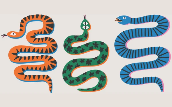 Sonhar com cobra