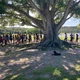 Imagem - Caminhada em defesa do Abaeté terá roda de samba e feijoada