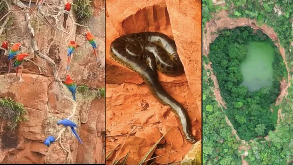 Explore a geologia e a vida selvagem de um dos maiores buracos do Brasil.