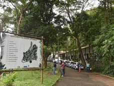 Imagem - Parques de Salvador preservam fauna, flora e riqueza cultural soteropolitana