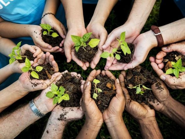 Imagem - 30 atitudes simples para preservar o meio ambiente