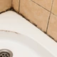 Imagem - Sem produtos ou vinagre: o truque dos especialistas para remover facilmente o mofo preto