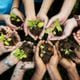 Imagem - Confira 30 atitudes simples para preservar o meio ambiente