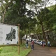 Imagem - Parques de Salvador preservam fauna, flora e riqueza cultural soteropolitana