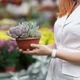 Imagem - 10 plantas ideais para ter dentro de casa e deixar seu ambiente mais aconchegante