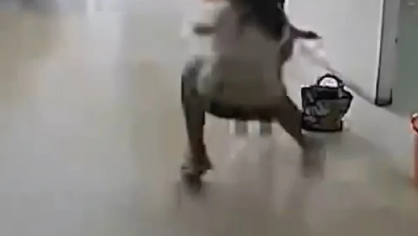 Imagem - Menina salva irmã de ser atropelada por veículo desgovernado; veja vídeo