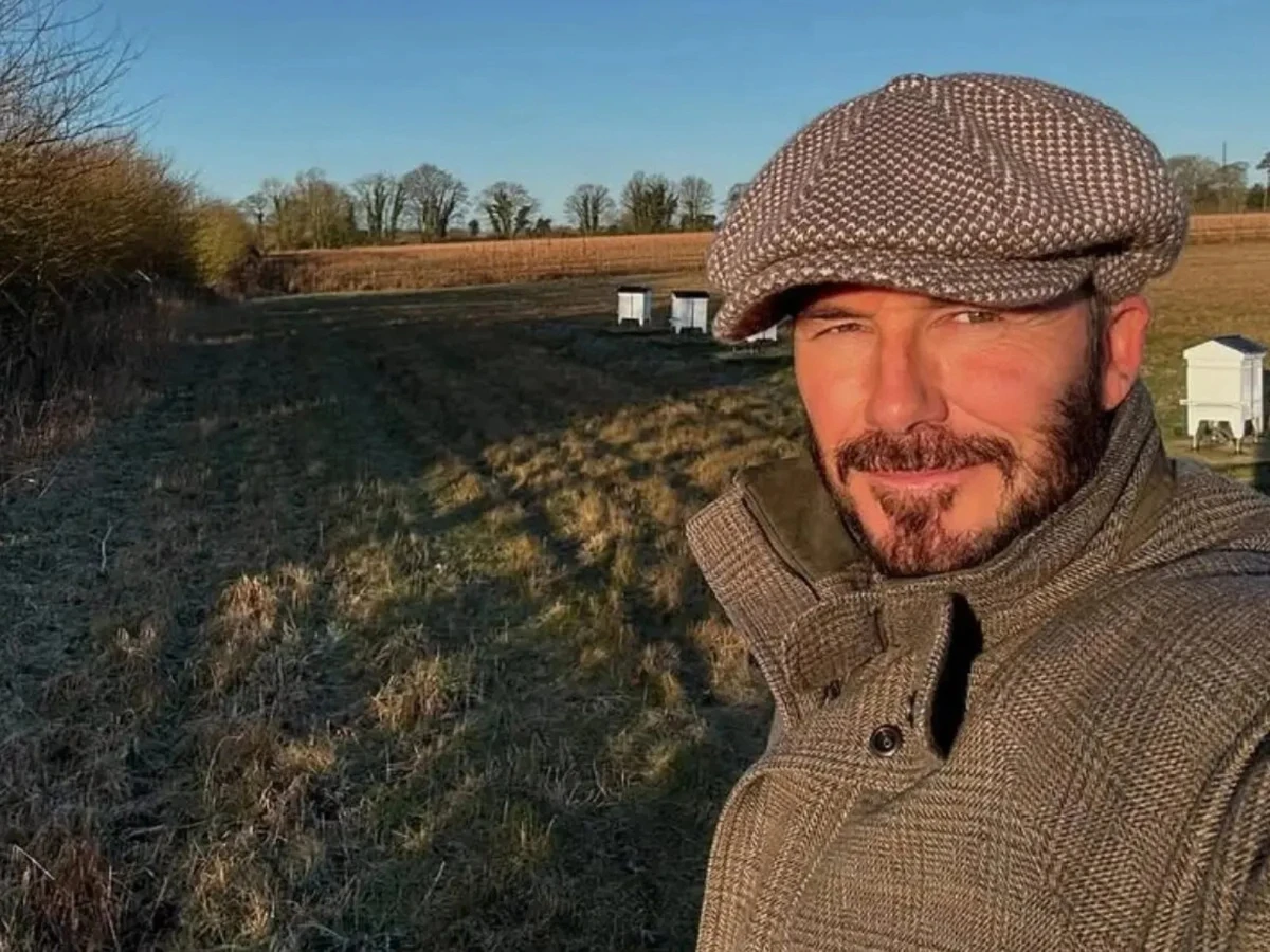 David Beckham  por Reprodução/Redes Sociais     