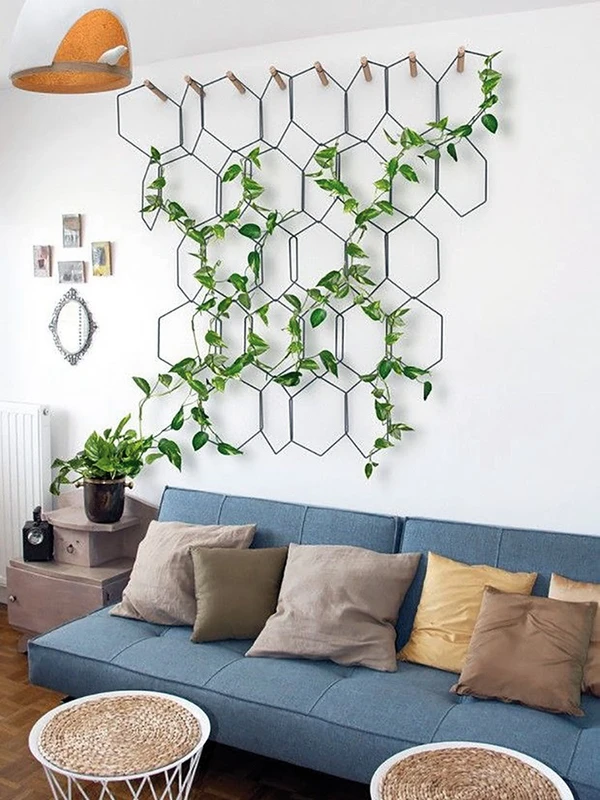 Jiboia  por  Divulgação/Pinterest - UOL