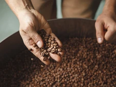 Imagem - Exportações de café na Bahia têm alta de 480% em abril, aponta relatório da Faeb