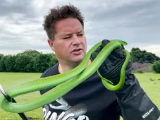 Imagem - Youtuber morre ao ser picado por cobra enquanto gravava vídeo
