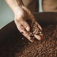 Imagem - Exportações de café na Bahia têm alta de 480% em abril, aponta relatório da Faeb
