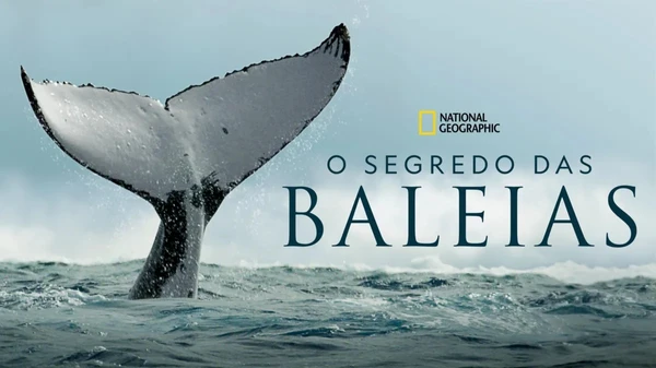 Dia do Meio Ambiente: O Segredo das Baleias (2021) por Divulgação   