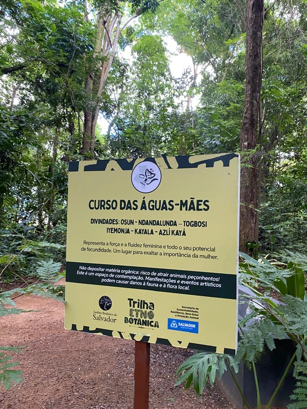 Inauguração da Trilha Etnobotânica de Salvador por Millena Marques/CORREIO