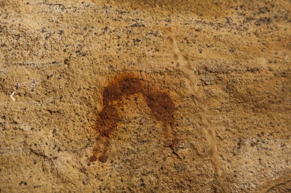 Parque Nacional Serra da Capivara: maior tesouro arqueológico do Brasil por Divulgação/Fumdham