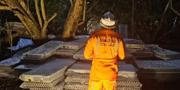 Familiares tentaram convencer Sérgio a descer da árvore por Divulgação