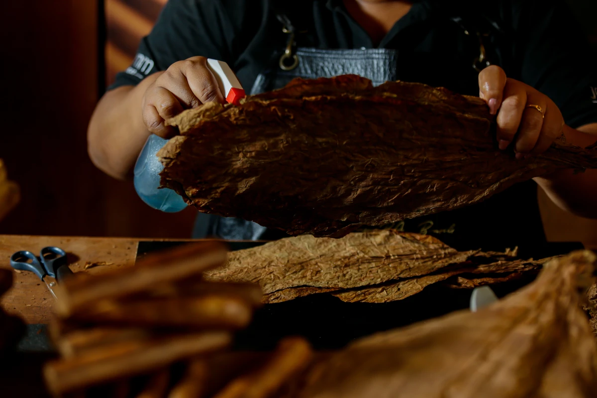 As charuteiras produzem cerca de 200 charutos por dia por Arisson Marinho/CORREIO