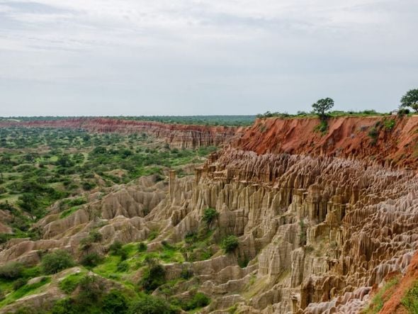 Imagem - 3 destinos exclusivos para explorar a vida selvagem africana