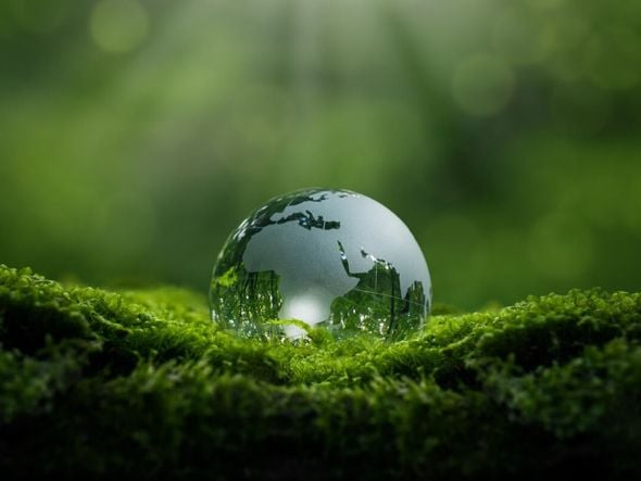 Imagem - 6 dicas para estudar sobre meio ambiente para o vestibular